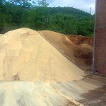 Sirovina za proizvodnju pelleta - piljevina bukve i oraha
